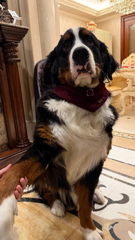A Vintage Bandana with Quiet Elegance