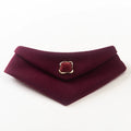 Crimson Tide Red Pet Bib